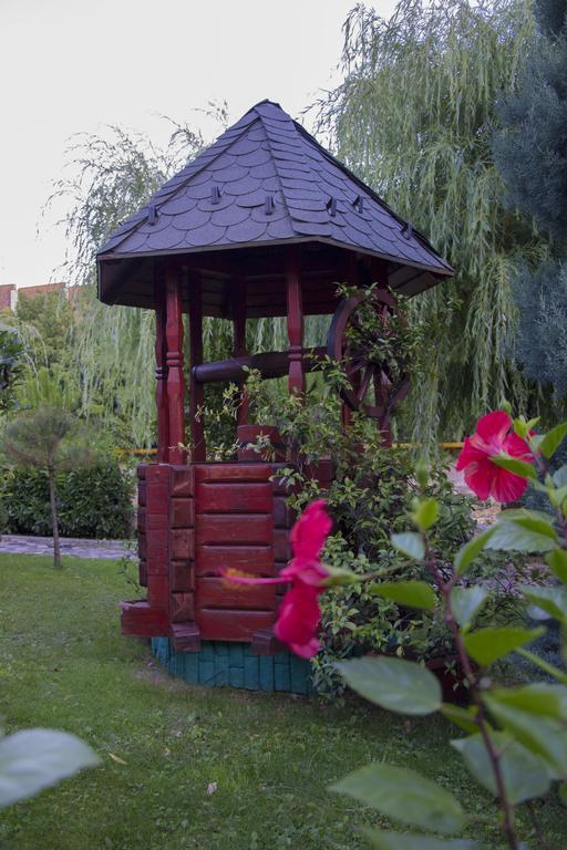 Hotel Carpati Baia Mare Buitenkant foto