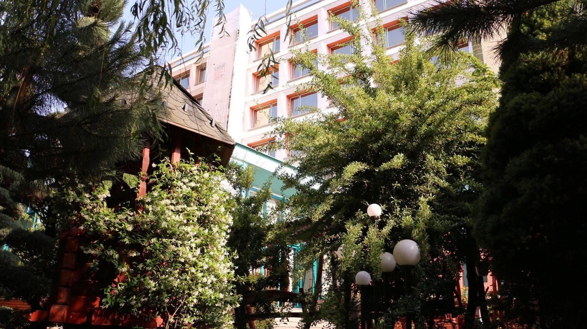 Hotel Carpati Baia Mare Buitenkant foto